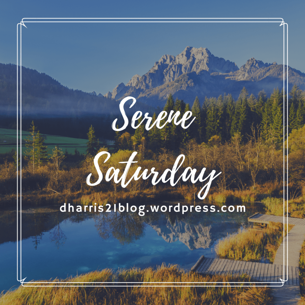 Serene Saturday #2