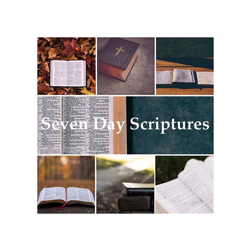 Seven Day Scriptures: Day&nbsp;7