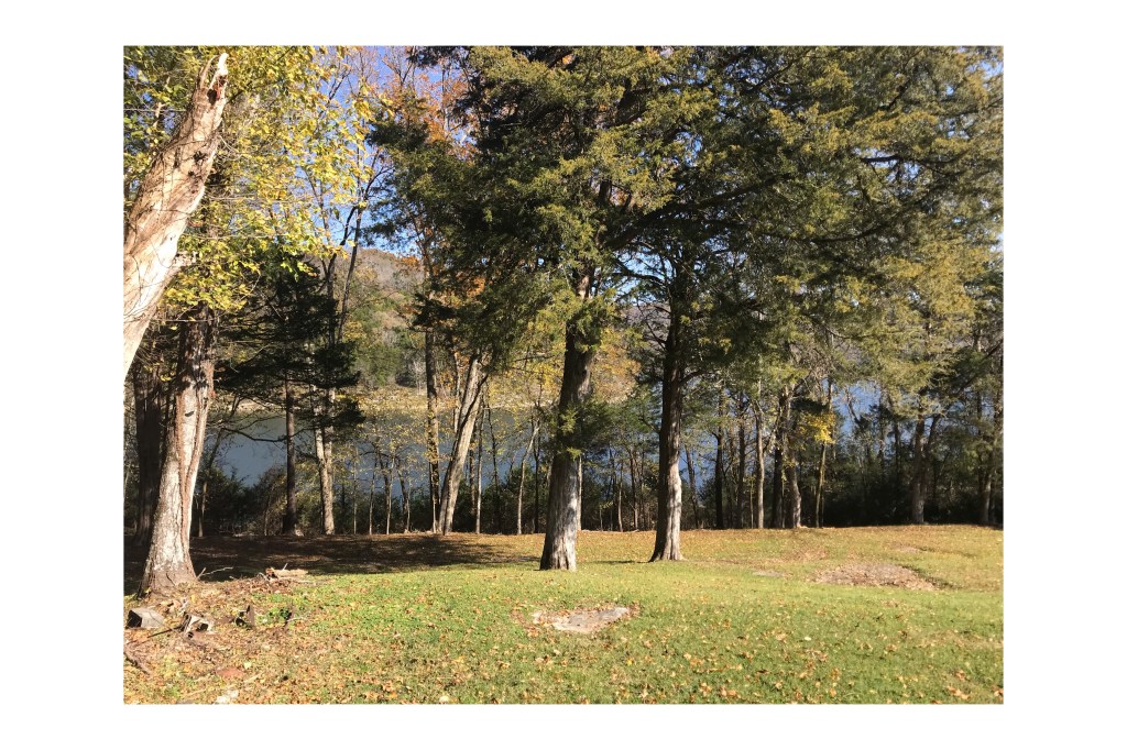 Everyone Needs a&nbsp;Breather