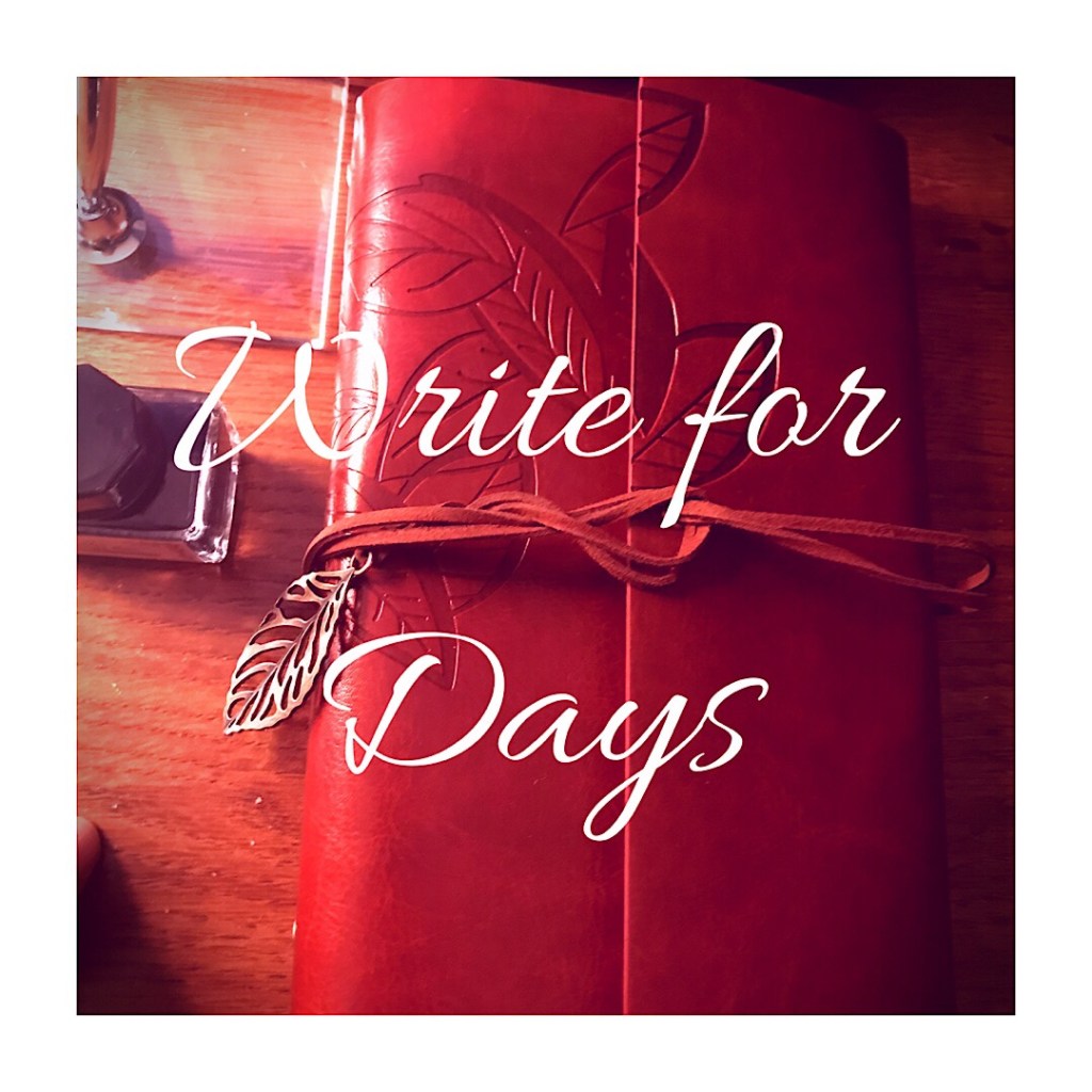 Five Journals, 1 Writer