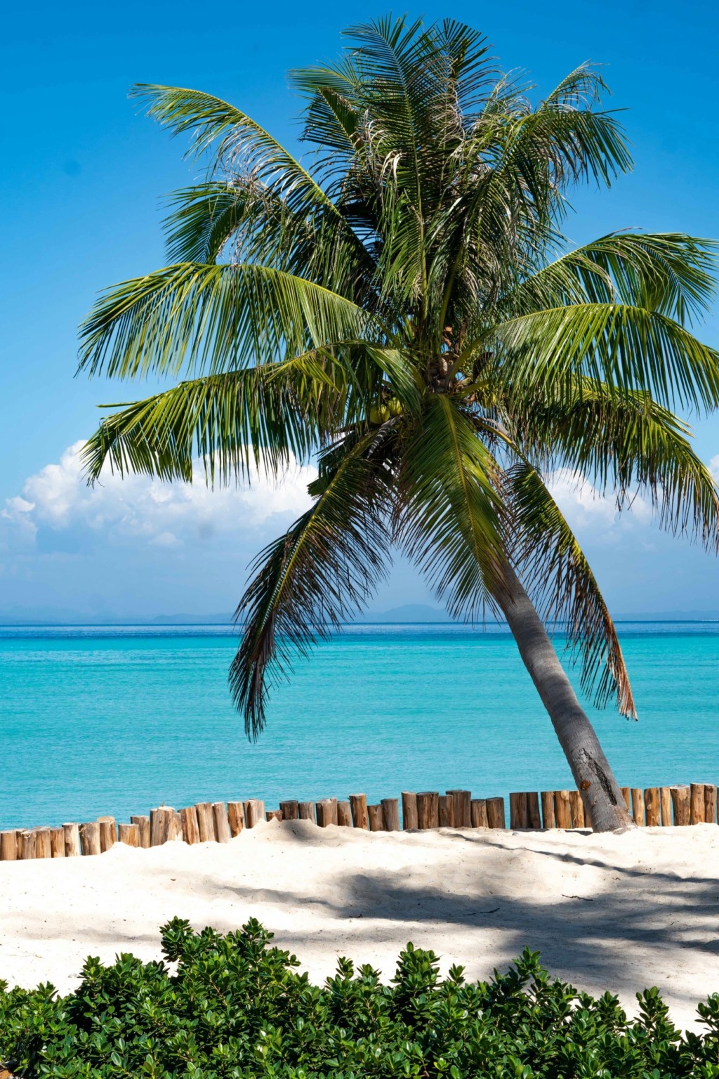 Describe Your Ideal&nbsp;Week